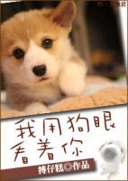 我用狗眼看著你