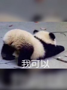 豎直彎勾