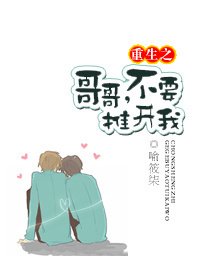 重生之哥哥,不要推開我