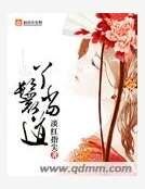 丫鬟當道