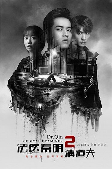 法醫秦明系列:清道夫