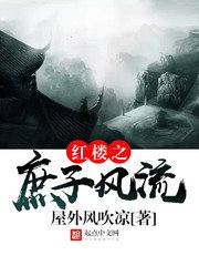 宏樓之庶子風流
