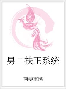 男二扶正系統