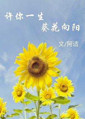 許你一生,葵花向陽