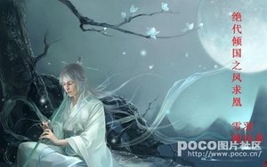 傾國鳳求凰