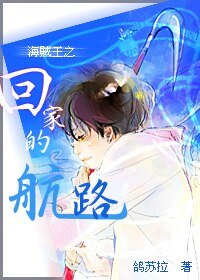(海賊王同人)海賊王之回家的航路