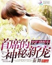 名門情鬥:首席的神秘新寵