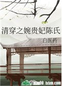 清穿之婉貴妃陳氏