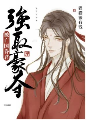 成了亡國昏君的墮神男妃