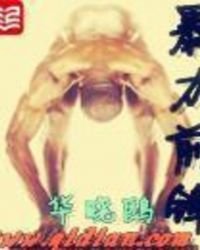 暴力前鋒