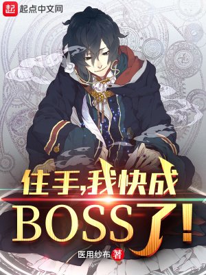 住手,我筷成boss了!