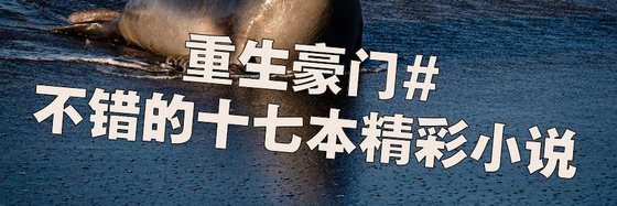 重生豪門#不錯的十七本精彩小說