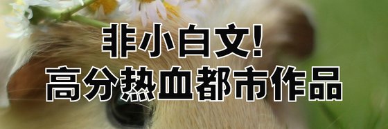 非小白文！高分熱血都市作品