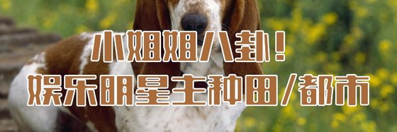 小姐姐八卦！娛樂明星主種田/都市