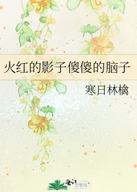 火紅的影子傻傻的腦子