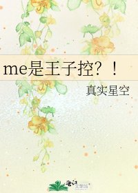 me是王子控?!