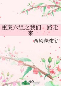 重案六組之我們一路走來