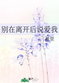 別在離開後說愛我