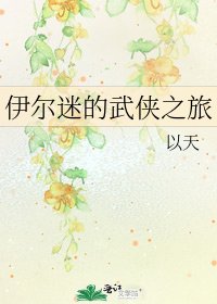 伊爾迷的武俠之旅
