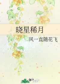 曉星稀月