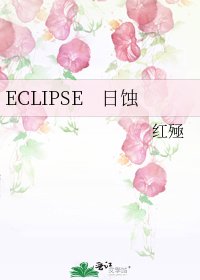 ECLIPSE 日蝕
