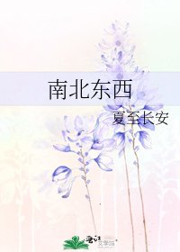 南北東西