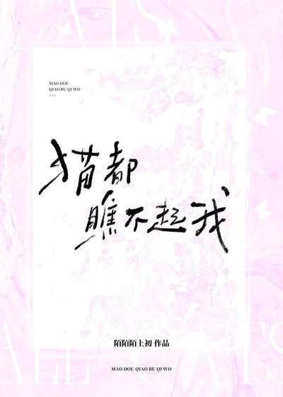 貓都瞧不起我