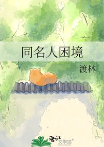 同名人困境