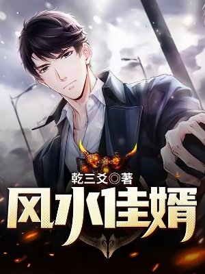 風毅佳婿