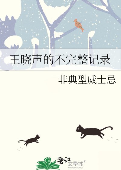 王曉聲的不完整記錄