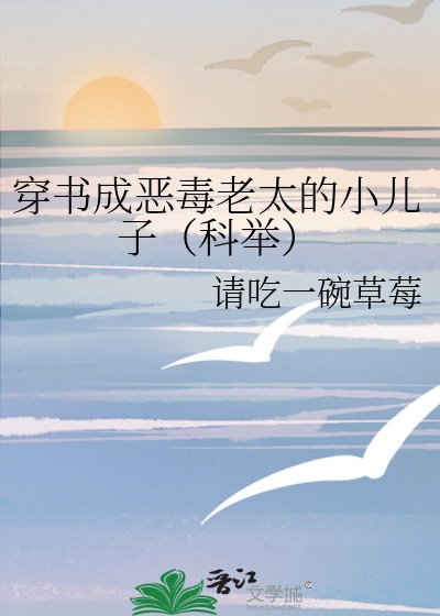 穿書成惡毒老太的小兒子（科舉）